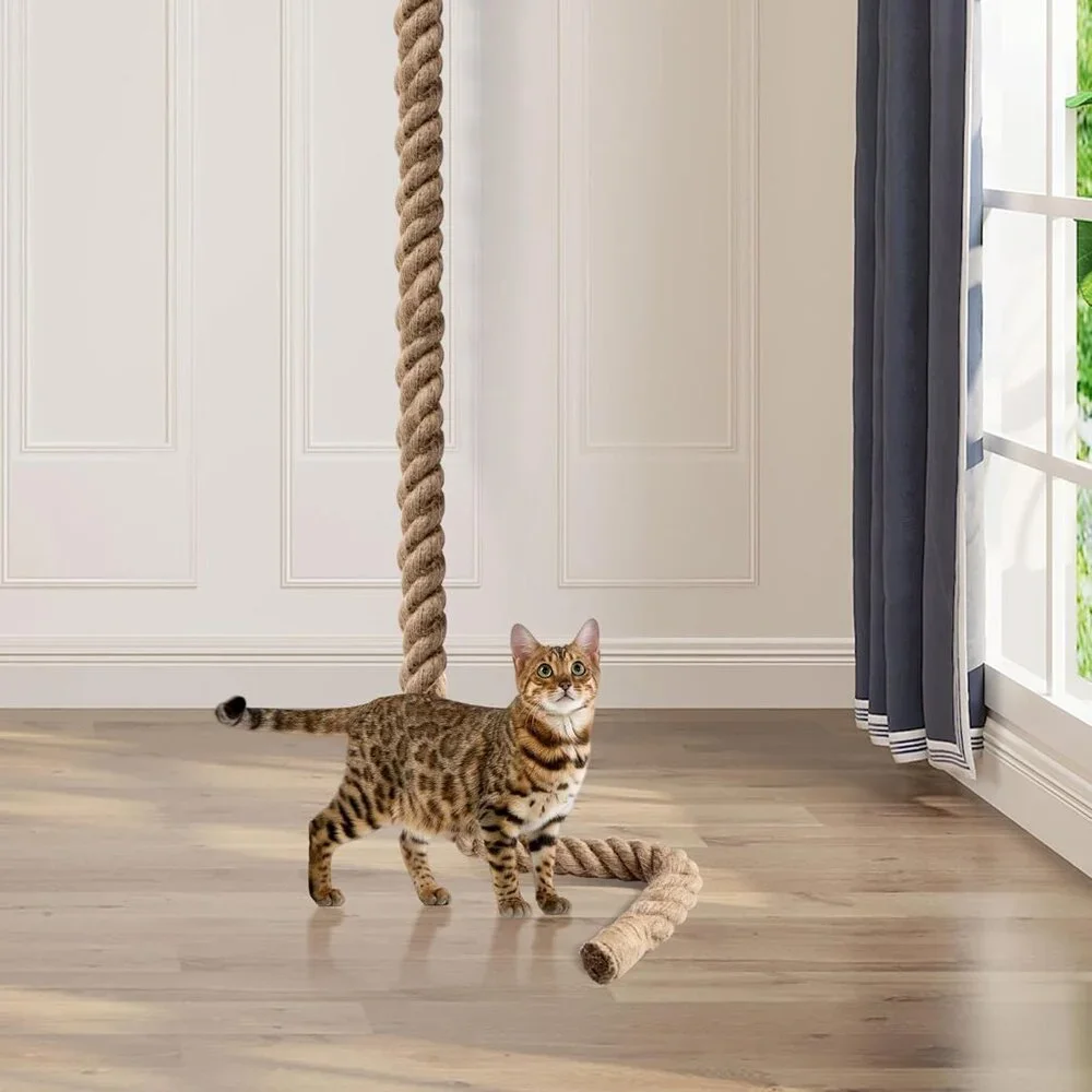 Cat Climbing Rope with Hook for Ceiling & Wall Mounted(1 Set)
